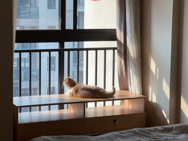 Apartment pet tech