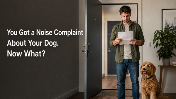 A concerned apartment renter reads a dog noise complaint while their dog sits quietly beside them